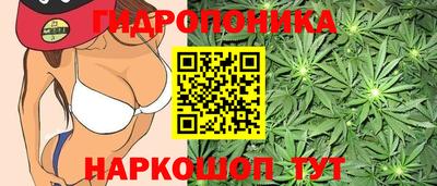 COCAINE Сланцы