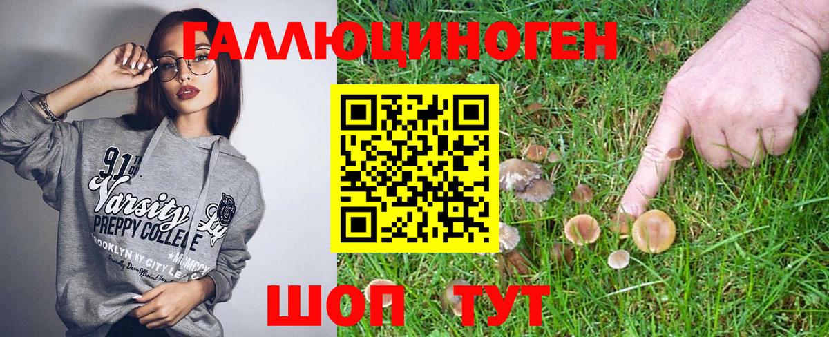 Галлюциногенные грибы Psilocybe  Вход с VPN  Бийск 